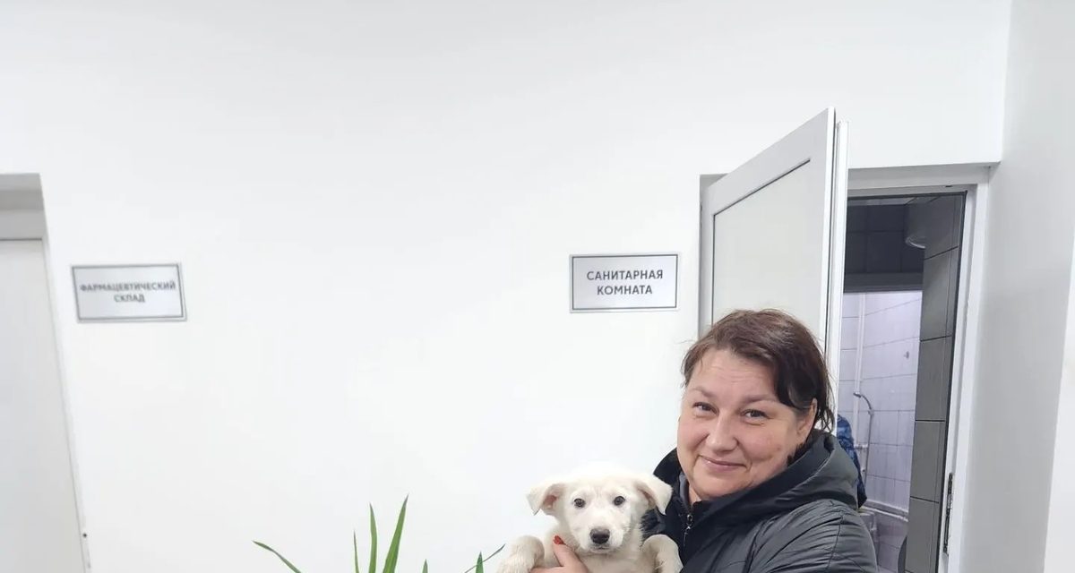 Первые собаки из центра Нижнего Тагила нашли хозяев — прощаться с ними совсем не грустно