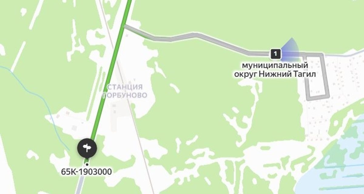 В Нижнем Тагиле ищут записи регистраторов для поисков пропавшей 78-летней женщины