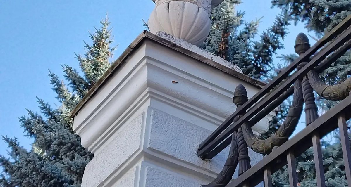 Администрация Нижнего Тагила предложила угадать место по фото вазона
